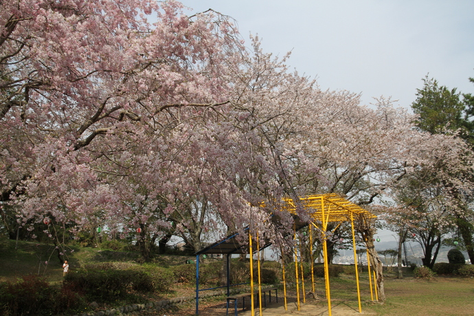 菊川公園