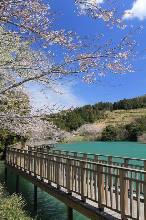 丹野池