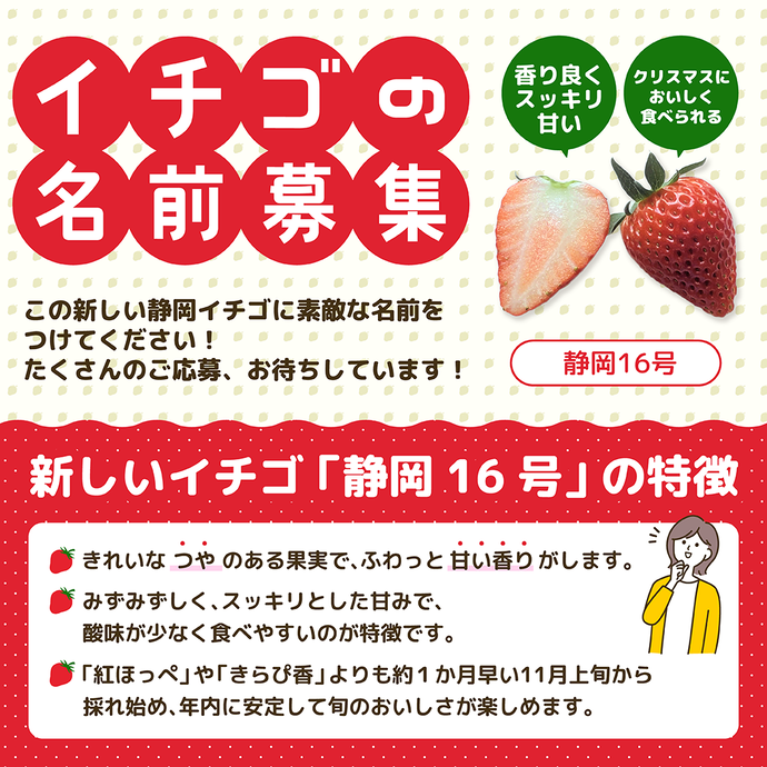 イチゴの名前募集