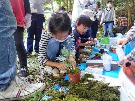 写真：苔玉作りの様子