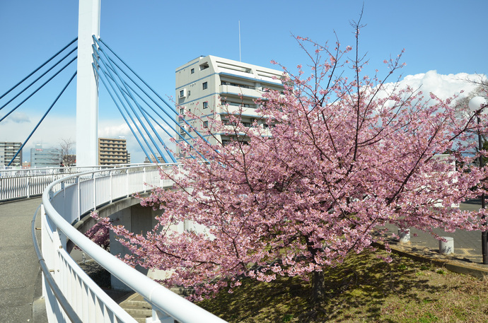 香貫公園