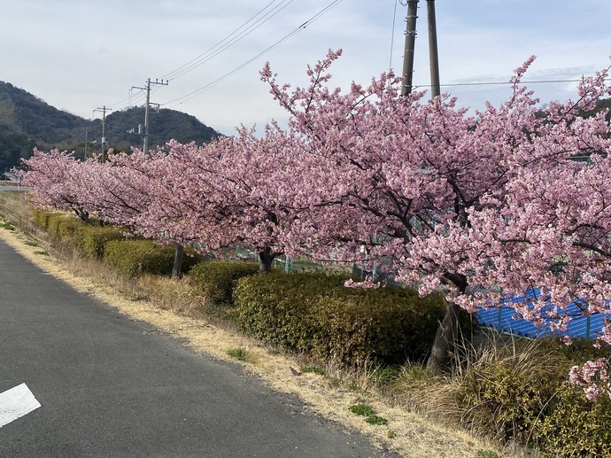 伊豆中央高校前