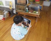 写真:「どうやって撮ると綺麗かな?」