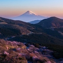 令和5年度　最優秀賞「朝陽」