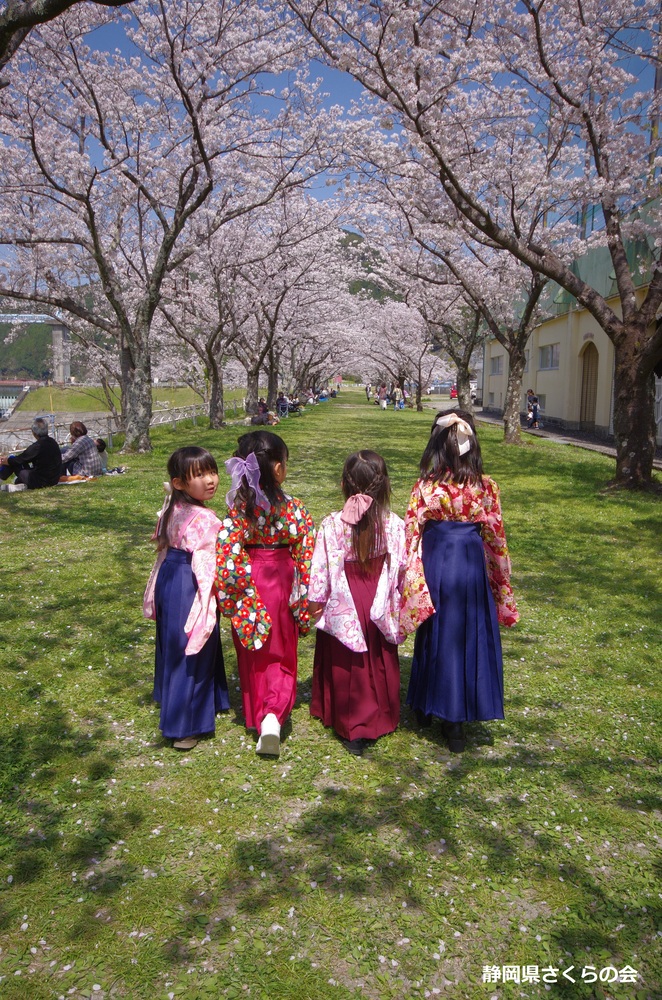 写真：入選「振り返る子」