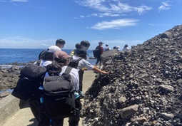 フィールドワーク(恵比須島・下田市)