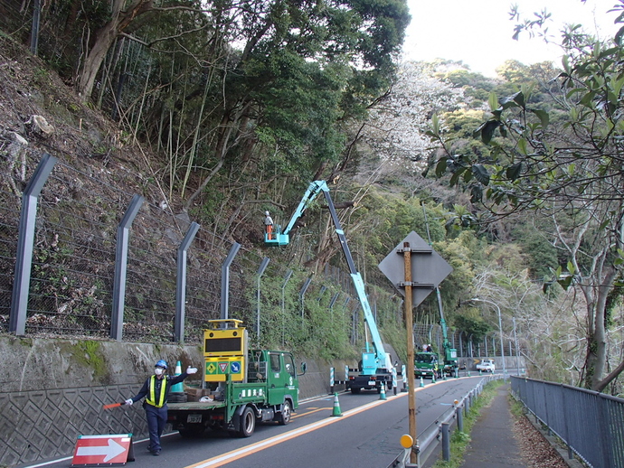 屈伸型の高所作業車を活用した状況写真