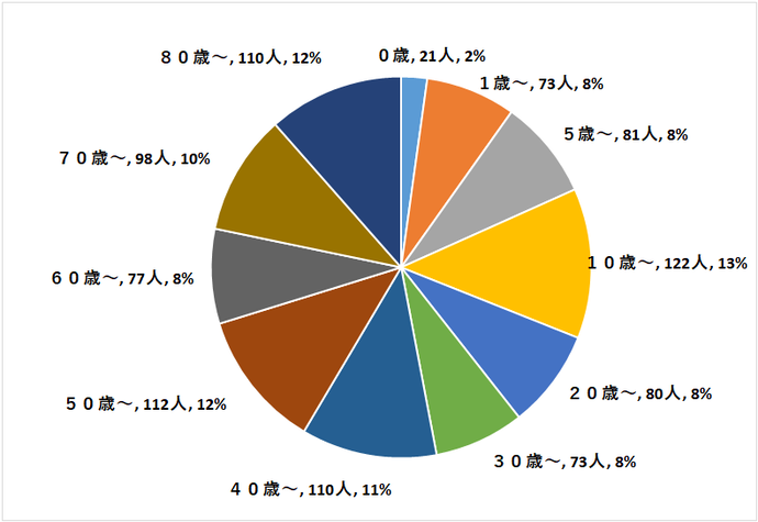 定点医療機関の年齢階級別患者数円グラフ