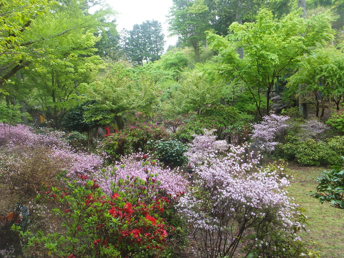 ぶらぶら農園