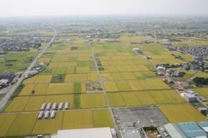 天竜川下流用水受益地(磐田市)の写真