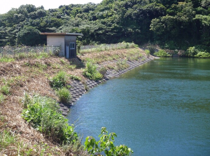写真 堤体(堤防)整備 着手前