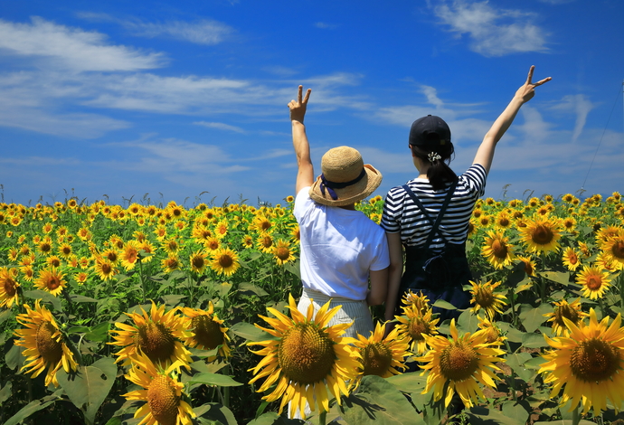 写真:夏の部特選