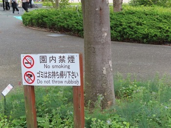 写真：浜名湖花博2024