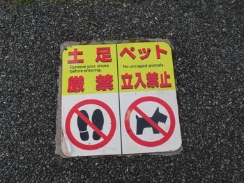 写真：浜名湖花博2024