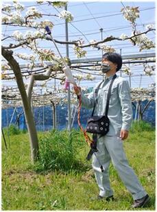 花粉使用料を削減できる静電風圧式受粉機を示した写真