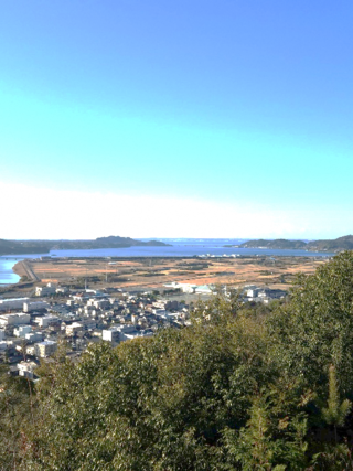 写真1