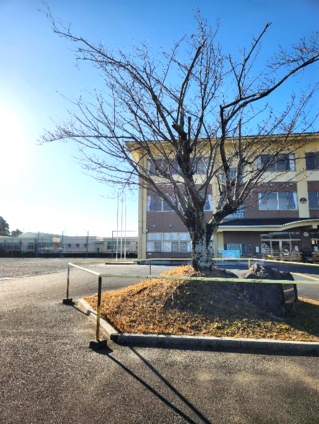写真2