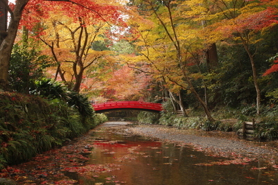画像:秋2