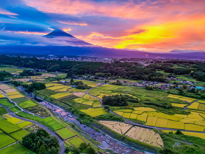 画像:夏1
