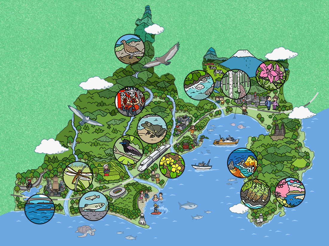 鳥観図