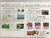おたより
