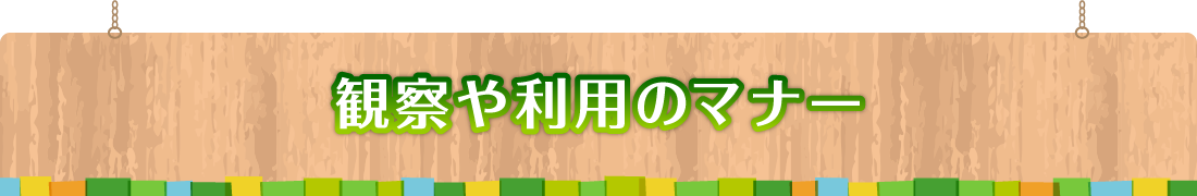 観察や利用のマナー