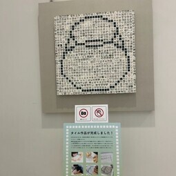 写真：MUDコンテスト