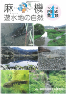 シリーズ4魚類