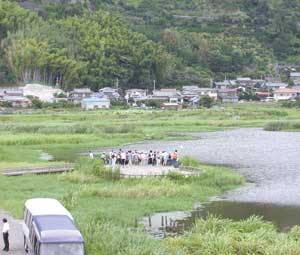 遊水地写真