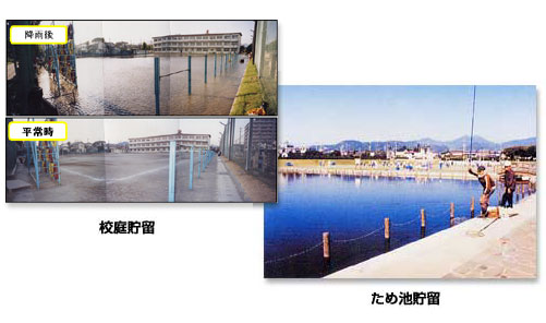 雨水