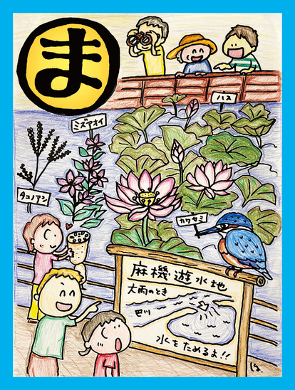 水葵（ミズアオイ）・蓮（ハス）の復活　麻機沼　満々と洪水貯める遊水地