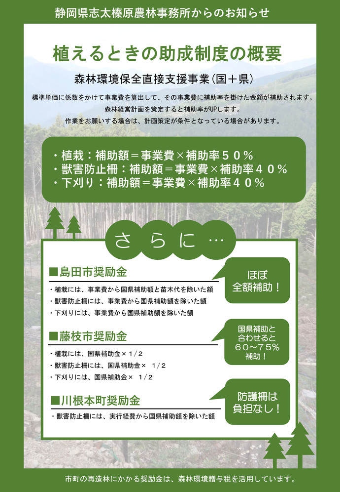 チラシ2ページ目