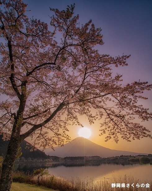 写真：インスタ入選3