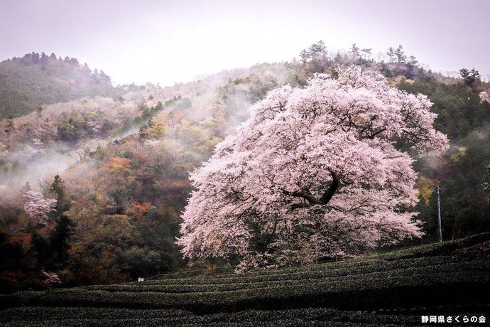 写真：インスタ入選7