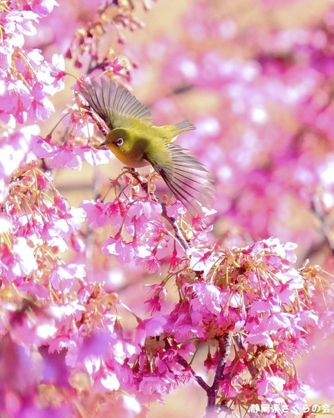 写真：インスタ入選4