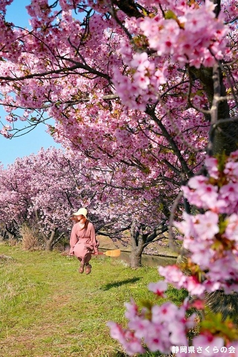 写真：インスタ入選8