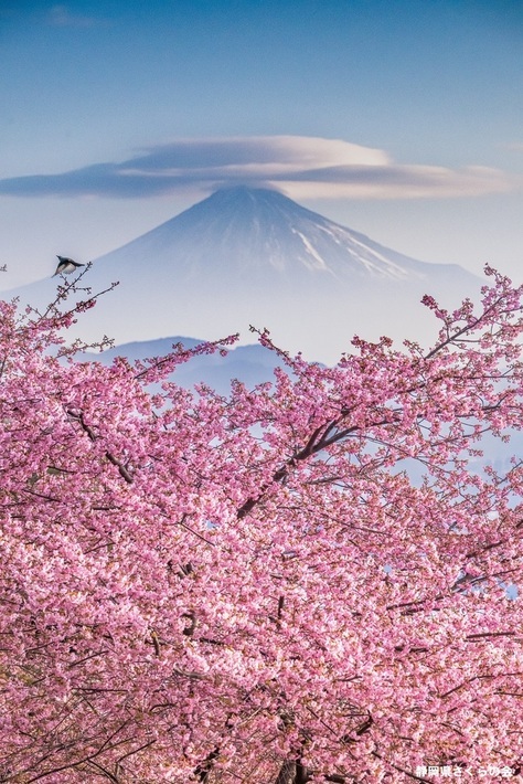 写真：インスタ入選9