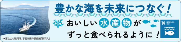 豊かな海を未来につなぐ！おいしい水産物がずっと食べられるように！