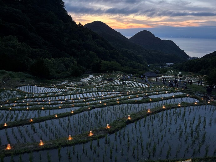 棚田の写真