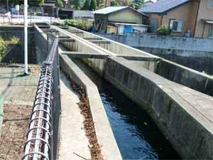 写真:水路斜め上流より望む2