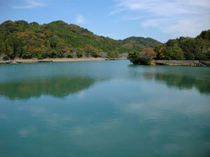 写真:池の堤より池の上流方向を望む