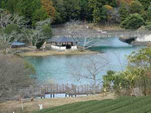 写真:池の上流部付近の景観