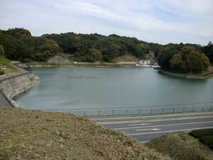 写真:全景(上流側の池…道路を挟んで北側)