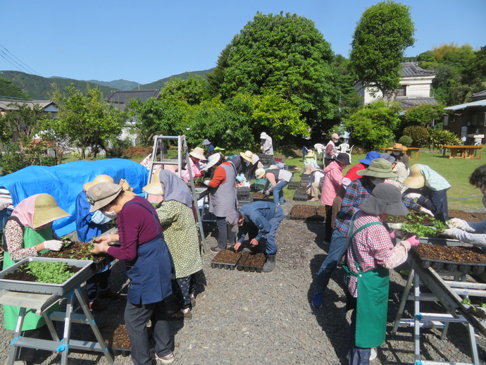 芝川花そう会