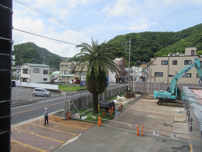 写真:カナリーヤシ