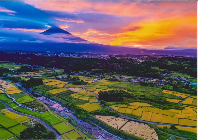 写真:夏の部特選