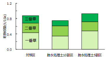 試験区ごとの牧草収量