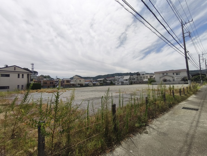 写真:伊豆の国市大仁