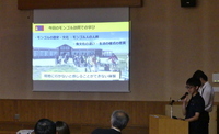 発表の様子