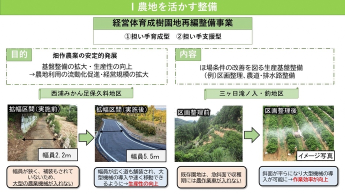 経営体育成樹園地再編整備事業の（1）担い手育成型（2）担い手支援型についての説明